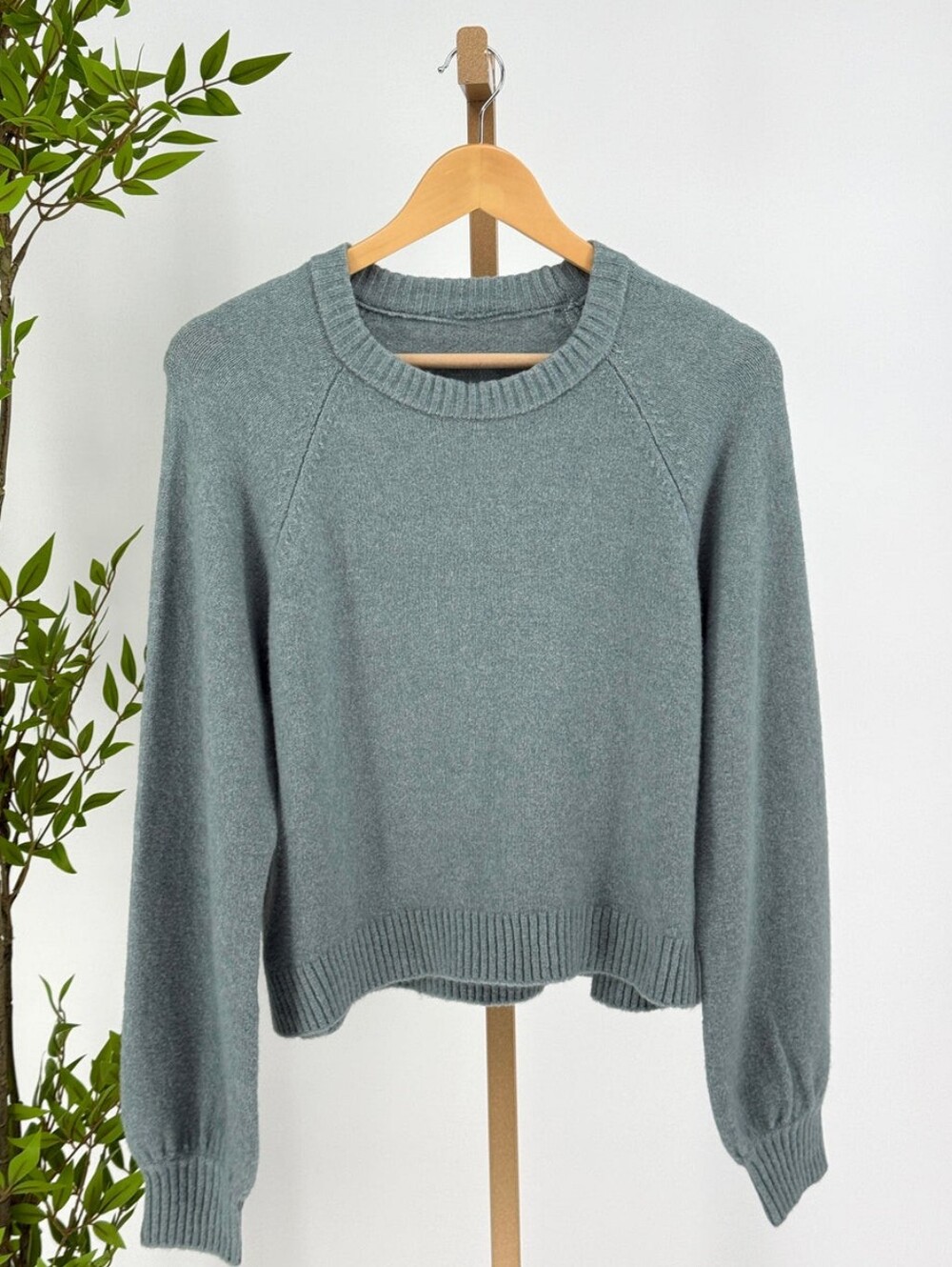 NWOT Z Supply Medium Crewneck Sweater in Soft Succulent